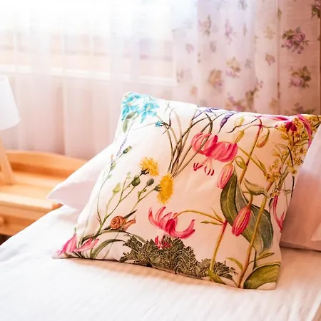 Tatras Penthouse * Ratulow